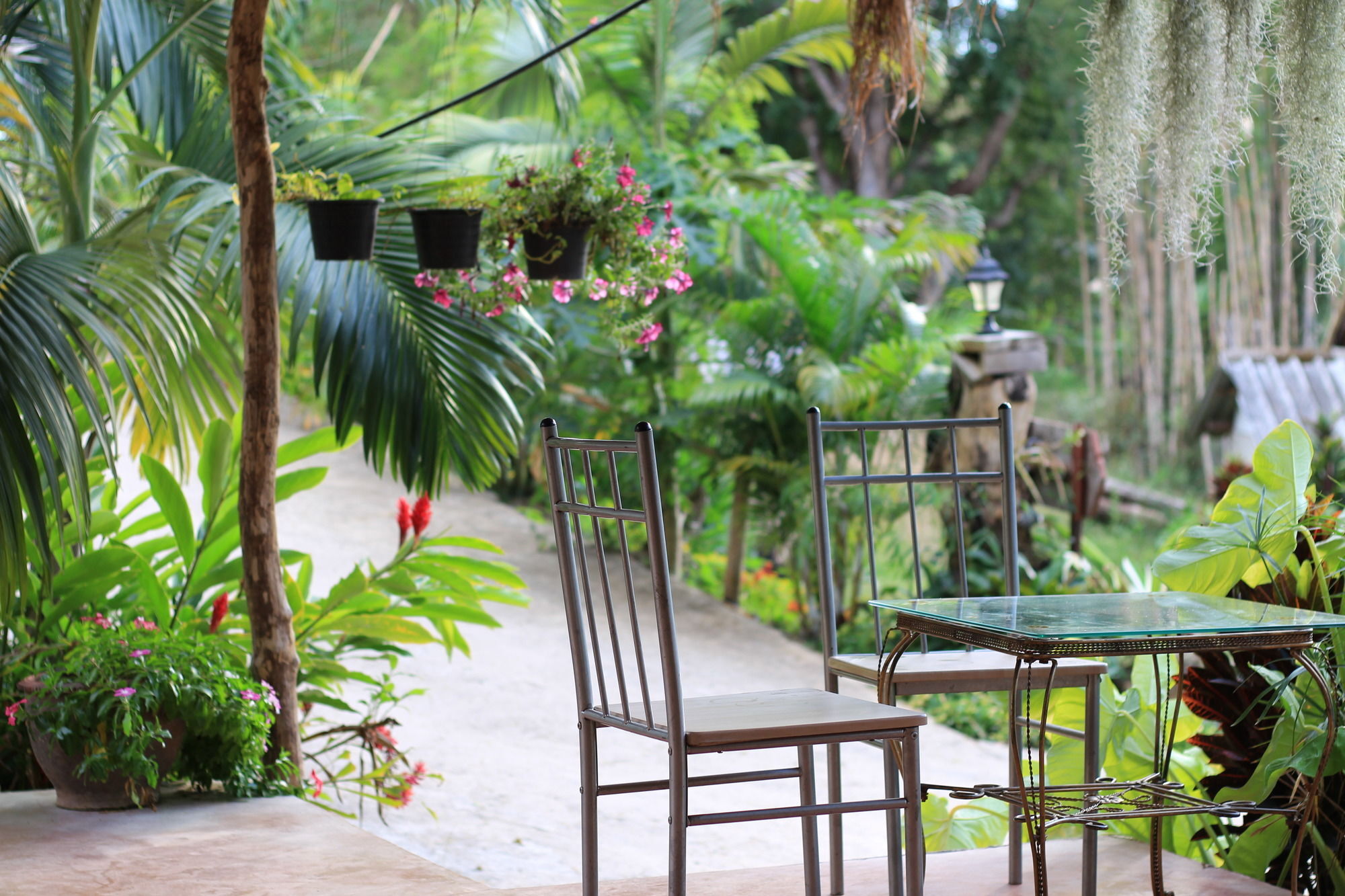 Chang Pai Garden (Adults Only) Dış mekan fotoğraf